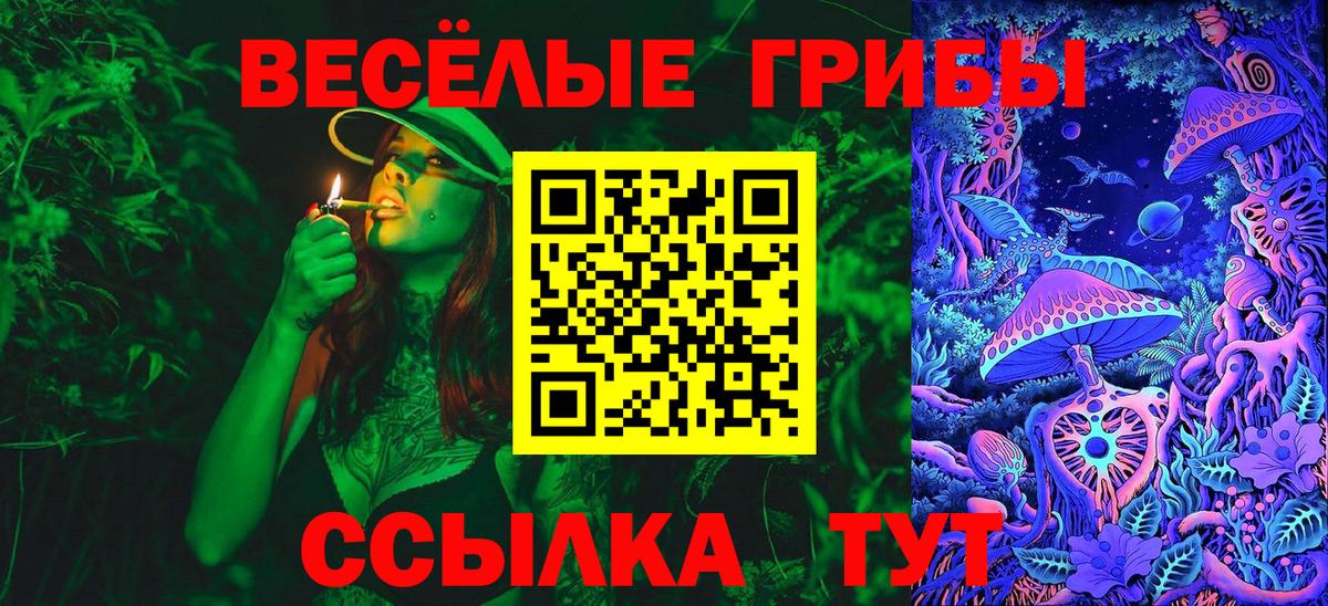 Галлюциногенные грибы Cubensis  Вход с VPN  Вязьма  Галлюциногенные грибы MAGIC MUSHROOMS 