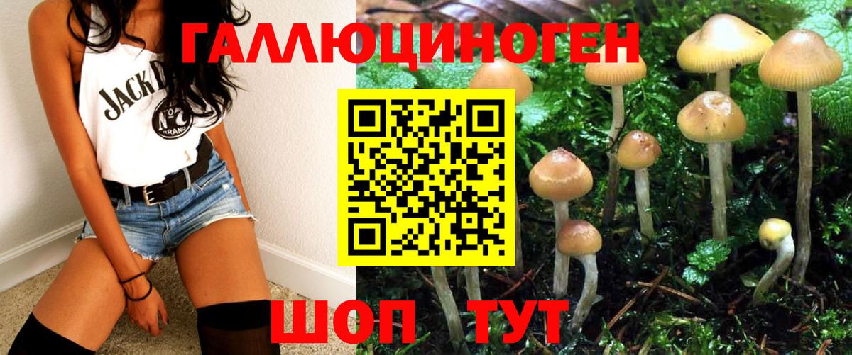 Галлюциногенные грибы Psilocybe Вязьма
